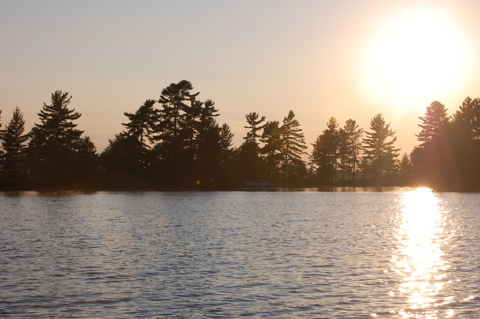 SUMMER (115)